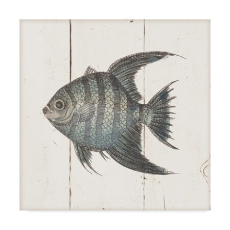 Trademark Fine Art Wild Apple Portfolio 'Fish Sketches II Shiplap' Canvas Art, 14x14 WAP03132-C1414GG
